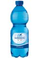 S.BENEDETTO ACQUA GAS. PET   CL.50X24