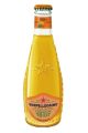 S.PELLEGRINO ARANCIA  VP CL.20X24