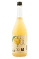 SAKE KODAKARA YUZU  CL. 72X1
